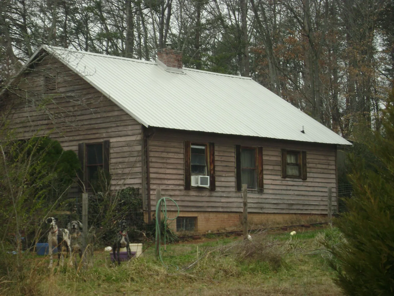 White metal roof on an old wood sided farmhouse, from a Asphalt Shingle Roof Repair job in Beaverdam